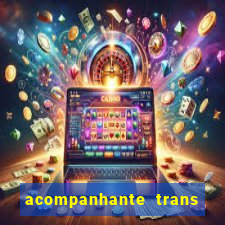 acompanhante trans baixada fluminense